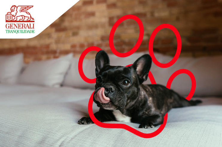 Cão feliz por estar protegido pelo Seguro Cães e Gatos.